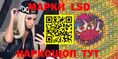МДПВ Кунгур
