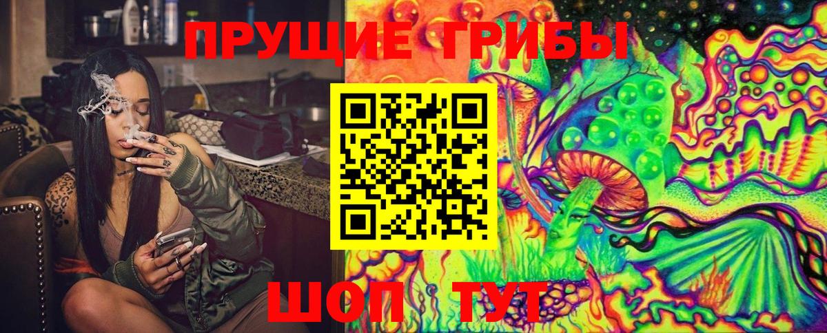 Галлюциногенные грибы GOLDEN TEACHER  Вход с VPN  Бузулук 