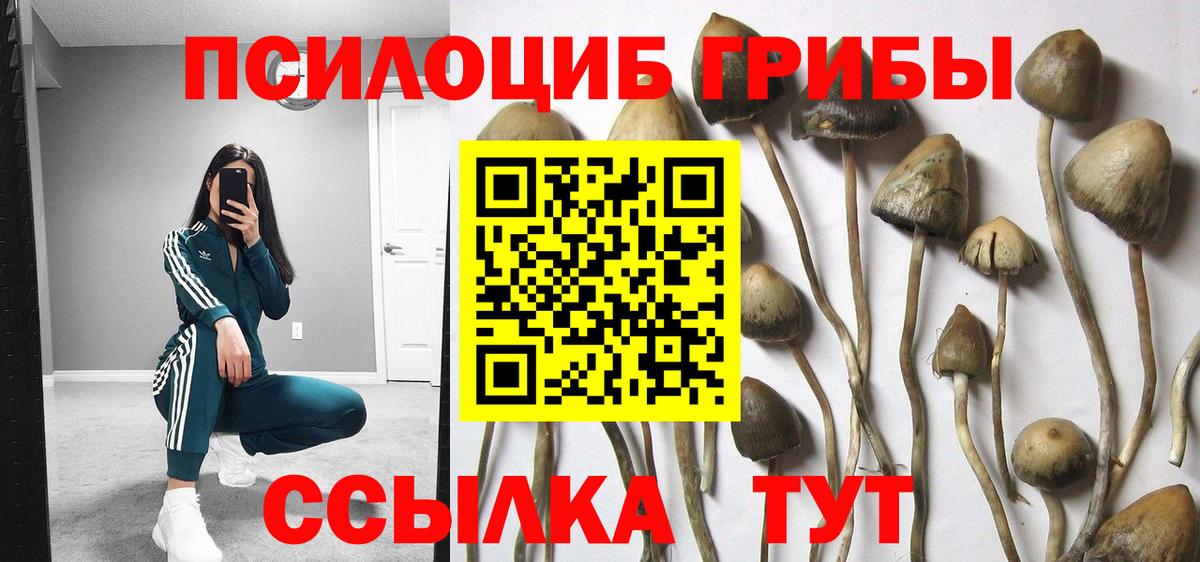 Галлюциногенные грибы MAGIC MUSHROOMS Бузулук